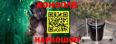 гидра Владикавказ