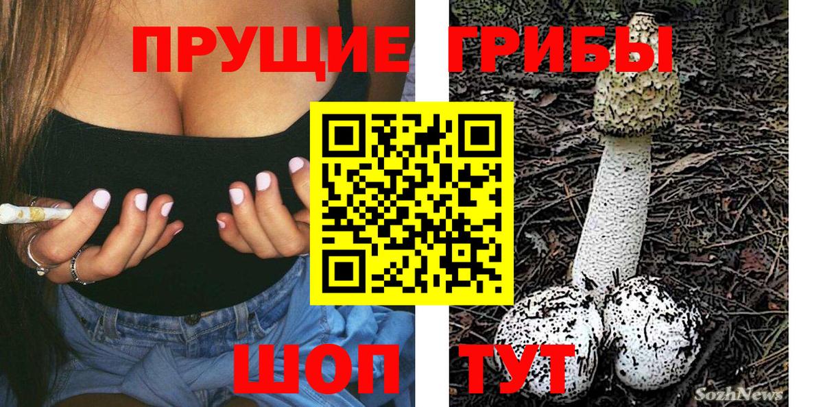 Псилоцибиновые грибы мицелий Отрадный